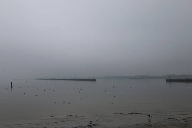 Foggy waterfront with calm water, scattered birds, and distant industrial cranes barely visible. Wet sand in foreground. Serene, tranquil, and slightly mysterious coastal scene.