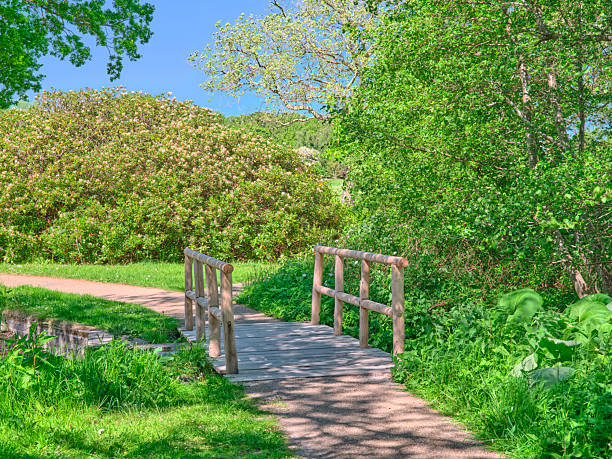 A serene Danish park scene featuring a small wooden bridge over a grassy path, surrounded by lush trees and blooming shrubs. Sunlight filters through leaves, inviting a calm stroll and a moment of outdoor relaxation in nature.