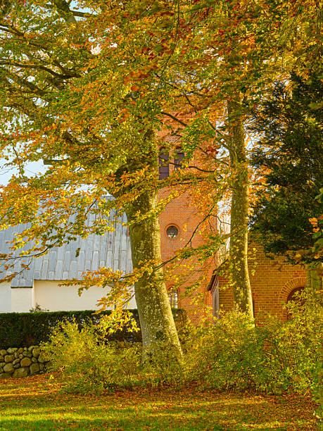 Golden autumn light filters through dense Fagus and Acer leaves, revealing a red brick structure partially hidden by trunks and shrubs. The tranquil park-like setting combines nature and old architecture, evoking warmth, nostalgia, and quiet Danish charm.