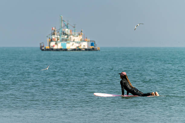 Woman in wetsuit paddling on a surfboard in the ocean, a distant cargo ship and seagulls in the background. Enjoying summer watersports