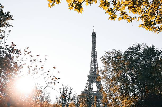 The Eiffel Tower in Paris, France during autumn with warm seasonal tones and soft natural light. Iconic European travel landmark along the Seine River with classic French architecture and romantic atmosphere.