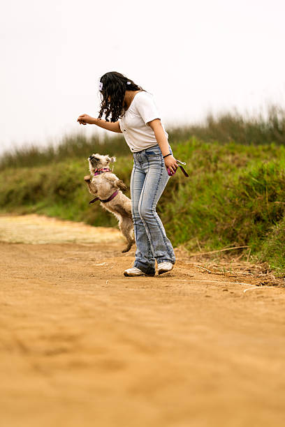 Dog-walking