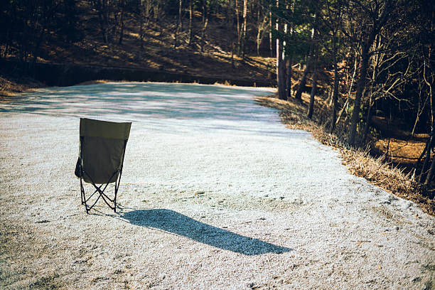 bench in embers forest.