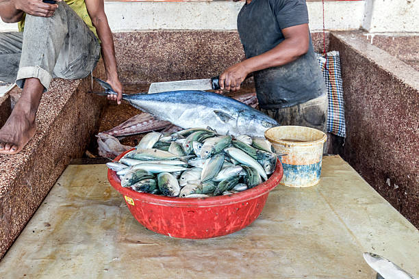 Fish market in Stone Town, Zanzibar