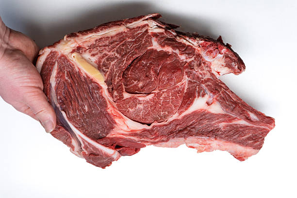 A close-up studio shot of a large, raw ribeye steak being held by a person's hand against a plain white background. The fresh cut of beef features a deep red color with significant white marbling and a visible bone, showcasing high-quality protein ready for cooking. The composition highlights the texture of the flesh and fat, with the hand gripping the left side of the meat, emphasizing its size and freshness.