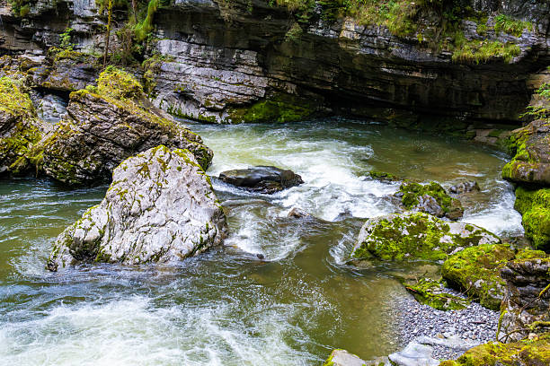 Palovit Waterfall in Kaçkar Mountains National Park merges with Fırtına Creek through a dense forest.