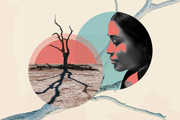 abstract collage with indigenous woman looking at dead tree in the dessert