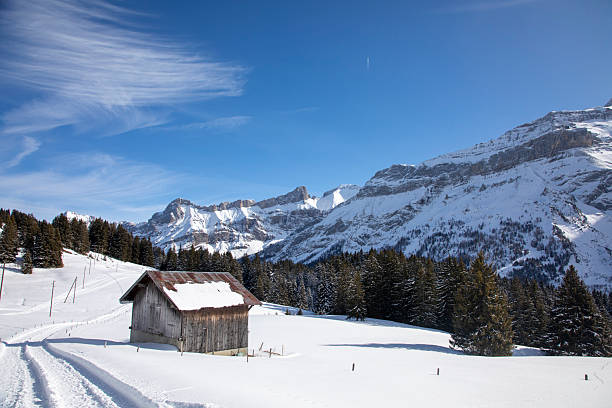 Located in Col-Pillon . Diablerets
