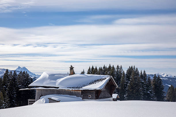 Majestic snow-covered pine trees stand tall against a vibrant blue sky, with wooden shelters nestled in the pristine white snow, creating a serene winter landscape