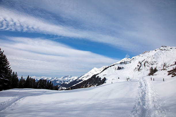 Located in Col-Pillon . Diablerets