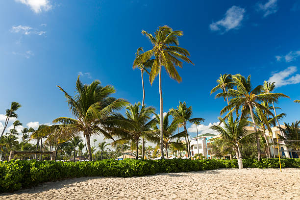 Bavaro beach in Punta Cana