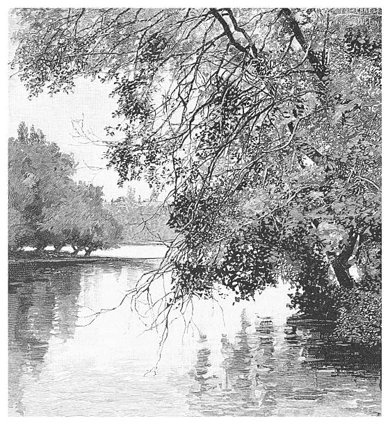 A detailed 19th-century illustration depicts a tranquil lakeside scene. Overhanging branches laden with leaves frame the view, their reflections shimmering on the water's surface. In the distance, trees line the opposite shore, creating a serene and picturesque landscape. The artwork captures the beauty of nature with intricate detail and a monochromatic palette.