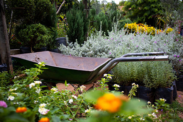 Rustic wheelbarrow ready for work in a vibrant plant nursery, surrounded by potted plants, blooming flowers and green foliage, evoking gardening, cultivation and springtime scenes