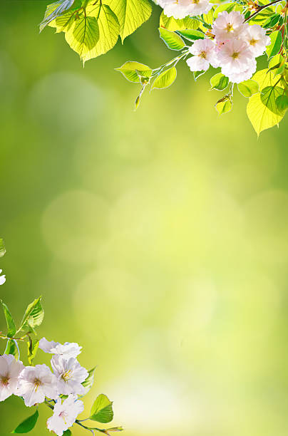 An original vertical background image with a spring theme in green tones.