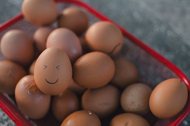 Brown eggs in basket with one smiling face drawn on shell, symbolizing fresh farm produce, healthy breakfast ingredient, and creative food concept in agriculture supply chain.
