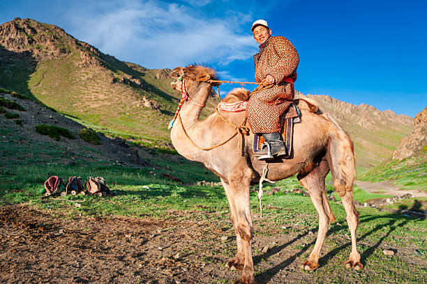 A man wearing a patterned traditional robe and cap sits astride a camel in a sunlit mountain valley. The camel is outfitted with colorful reins and a saddle; several extra saddles rest on the grass nearby. Rugged rocky slopes rise behind them under a clear blue sky, and warm golden-hour light casts long shadows across the grassy, stony ground.
