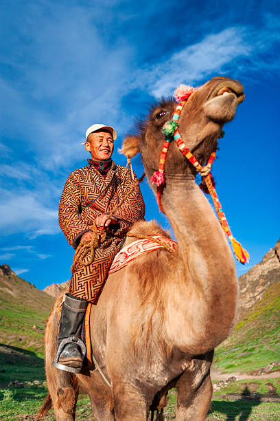 A smiling rider in a patterned robe and cap sits astride a decorated camel, bathed in warm sunlight. Colorful tassels and woven straps adorn the animal's bridle and saddle while rugged green slopes and rocky peaks rise in the background beneath a vivid blue sky. The scene conveys a joyful, timeless moment of life in a highland valley.