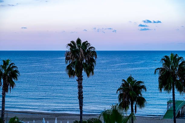 Beach promenade with palms, tropical beach scenes, Peaceful Mediterranean Alanya's seaside view palm trees, colorful sunbeds and umbrellas, resort Turkey locations, calm ocean waves and tranquil sky