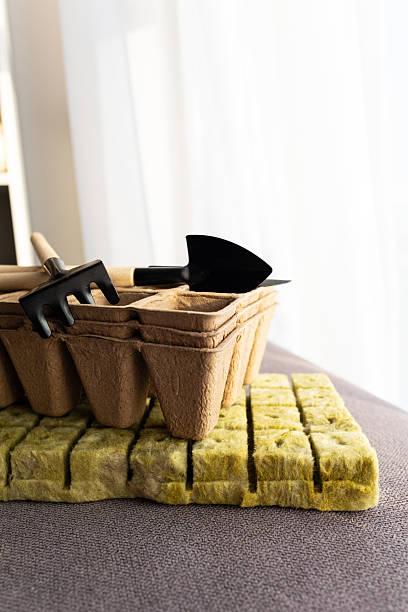 Wide-angle flat lay photo with generous copy space showing essential seedling starting supplies arranged on a neutral gray textile background. The composition features rockwool (mineral wool) grow cubes in various stages - pre-cut hydroponic growing medium with drainage holes, biodegradable cardboard seedling trays, colorful flower seed packets displaying vibrant blooms, and small wooden-handled gardening tools with black plastic heads. The image provides abundant copy space around the centrally arranged items, perfect for text overlay and graphic design applications. Multiple angles show the supplies from overhead and detail perspectives, illustrating the complete seed starting process from preparation to planting. The setup represents modern urban gardening methods, combining traditional soil-based approaches with hydroponic growing systems. Ideal for content about indoor gardening, sustainable agriculture, hydroponics, seed germination techniques, spring planting preparation, vegetable and flower cultivation, home farming, balcony gardens, and eco-friendly growing methods using recyclable and biodegradable materials.
