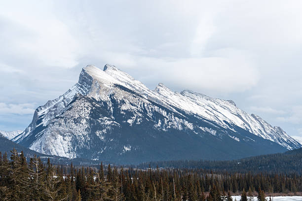 Scenic view feature snow capped mountain, with forest in valley under an overcast sky. Ideal for travel, nature, adventure, and outdoor themed campaigns