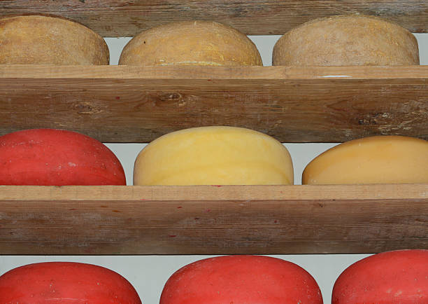 Cheese factory worker compares three wheels of cheese