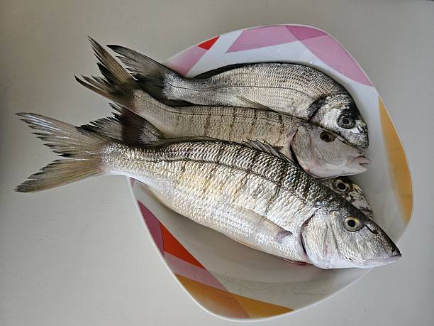fresh fish dish with sea bream and white sea bream