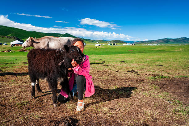 A young child in a pink jacket crouches and gently holds a small black calf on a wide, green pasture. Behind them a larger cow grazes and several white felt gers (yurts) dot the rolling hills under a bright blue sky with scattered clouds. The scene captures a peaceful, rural moment of pastoral life on open grasslands.