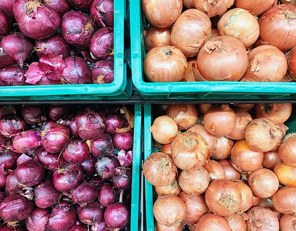 Red and white onions side by side in crates displayed in a supermarket