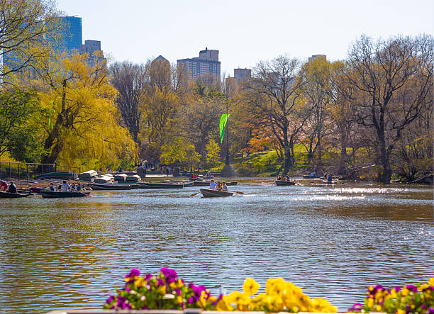 People enjoying rowing boats on Central Park Lake during springtime in New York City. Urban leisure, outdoor recreation and lifestyle in a famous city park.