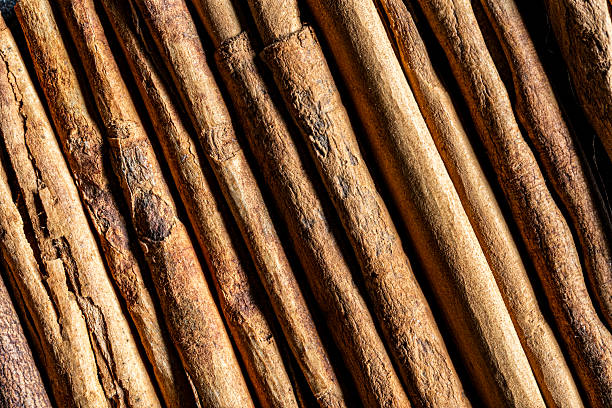Close up of cinnamon sticks detail. Backgrounds.
