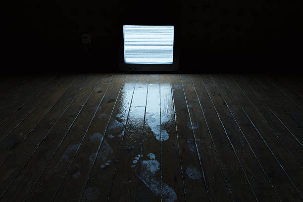 3d Rendering of an hardwood floor with footprints illuminated by the television at night