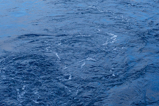 Deep blue ocean water surface displays gentle ripples and white foam patterns, reflecting sunlight in a tranquil marine setting