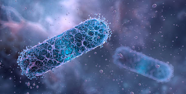 11,900+ Bacterial Spore Stock Photos and Royalty-Free Pictures