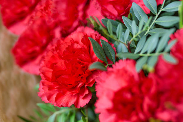 Close-up of a vibrant bouquet of red carnations with lush green foliage, symbolizing love, respect, remembrance, and appreciation. Suitable for International Women’s Day (March 8), greeting cards, celebration designs, and social media content. Also appropriate for memorial use, cemetery visits, funeral cards, sympathy cards, remembrance tributes, and condolence designs. Elegant floral background with deep symbolic meaning for both celebration and honoring loved ones.