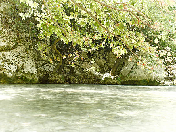 Water moves quietly by the shore, surrounded by trees and rocks. Sunlight shines through the leaves, creating a warm atmosphere in the natural landscape.