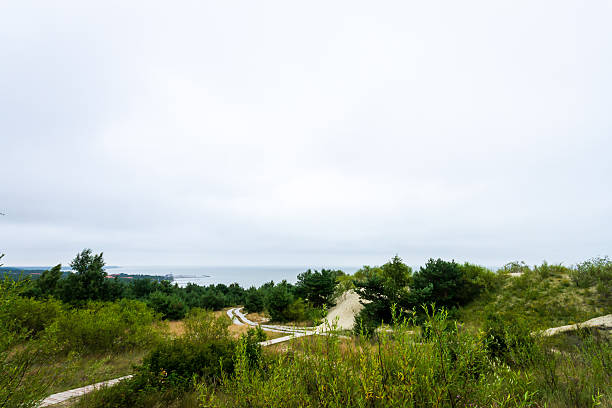 Landscape at the Curonian Lagoon on a gloomy day