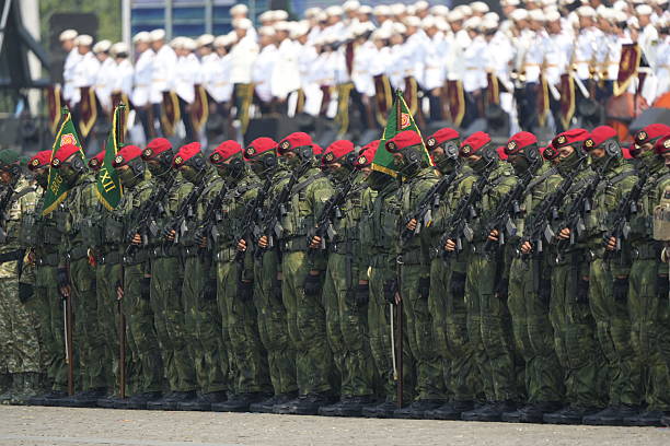 Salvador, Brazil – September 08, 2019: A Brazilian Army soldier during a military parade in celebration of Brazil independence