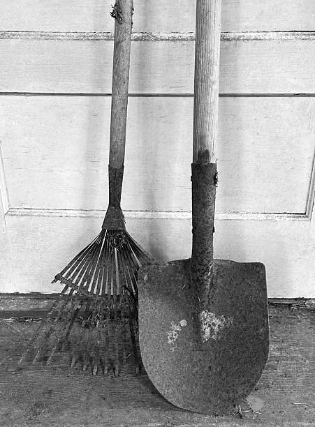 Rake and shovel isolated on white background, top view. Gardening tool