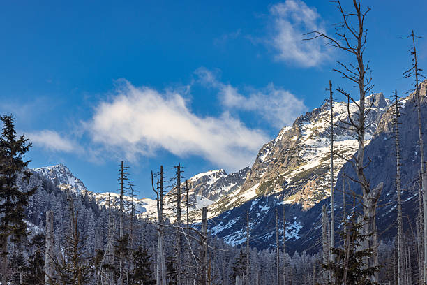 A breathtaking winter scene unfolds with towering, snow-covered mountains under a brilliant blue sky dotted with fluffy clouds, creating a serene and vast natural setting, perfect for conveying tranquility