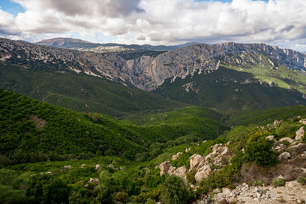 A striking panoramic view of the Gorropu Canyon, one of the deepest in Europe, located in the wild heart of Supramonte between Urzulei and Orgosolo. The image highlights the majestic white limestone rock walls rising above a dense valley of lush green Mediterranean scrub, under a dramatic cloud-filled sky