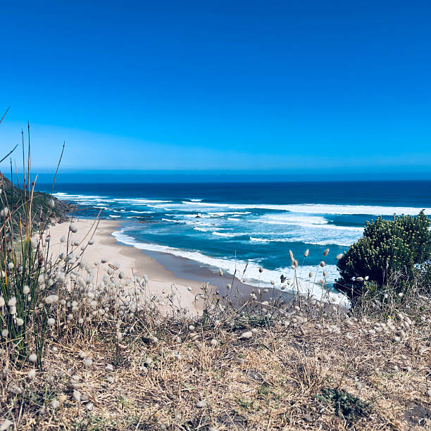 Coastal scenery in Victoria, Australia as seen from the Great Ocean road.