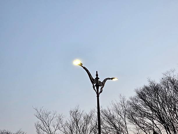 The streetlight at dawn between trees around my neighborhoods in the  fresh and blue sky : Seongnam, Korea