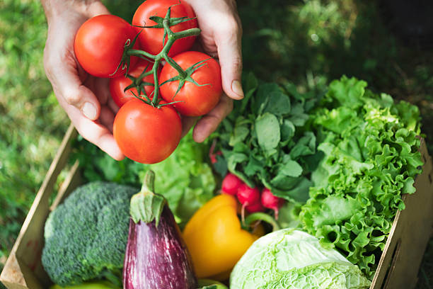 full image with tomatos fresh and healty food