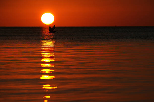 Sunset in the Florida Key with Boats, Docks and iconic sunsets.
