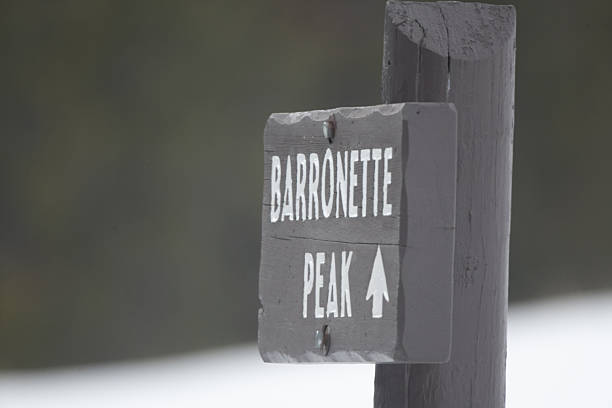 Sign for Baronette peak in northeastern Yellowstone, in Wyoming, in northwest USA.