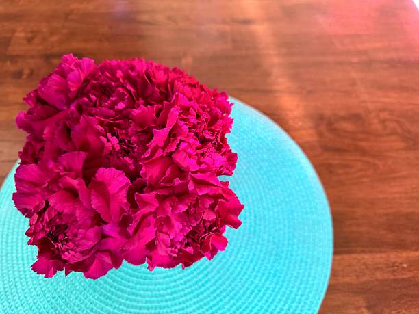 Part of a styled interior series photographed in Corona, these images feature vivid pink carnation flowers arranged in a small gold vase and placed on a coffee table. Captured from different angles and distances, the composition highlights rich color contrast between the bright blooms, the turquoise textured placemat, and the softly blurred living room background. Natural indoor light enhances the fresh floral details and modern home aesthetic. The series emphasizes simple tabletop styling and everyday elegance, aligning with a Flowers in the Vases brief. The bold color pairing and clean arrangement also support contemporary interior design concepts, offering visual inspiration for modern home styling and decorative balance.