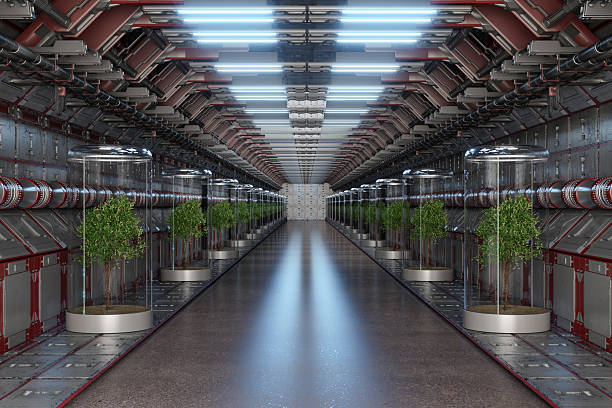 Futuristic Hydroponic Laboratory Corridor with Trees in Glass Chambers