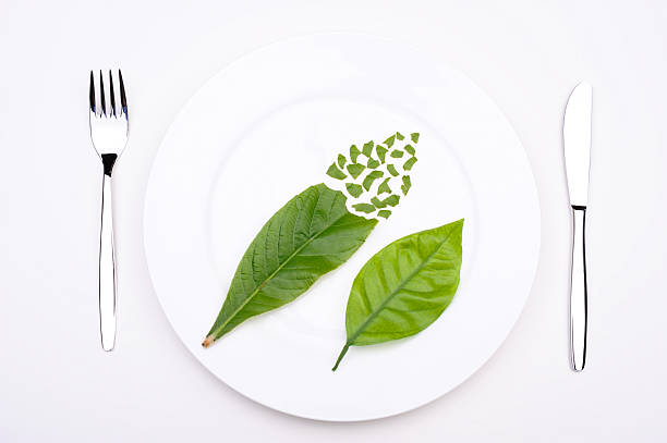 A white plate displays two green leaves placed in different orientations. Small leaf shapes are arranged above them. A fork and knife sit on either side of the plate.