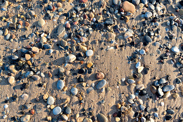 Small stones and pebbles cover the sand on a beach. Some stones are smooth and round while others are jagged. Sunlight illuminates the scene.