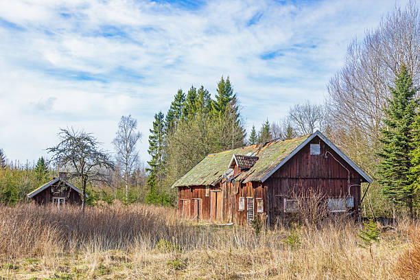 A dilapidated and uninhabitable farmhouse with two horses in the meadow. Baak, The Netherlands, March 03, 2025
